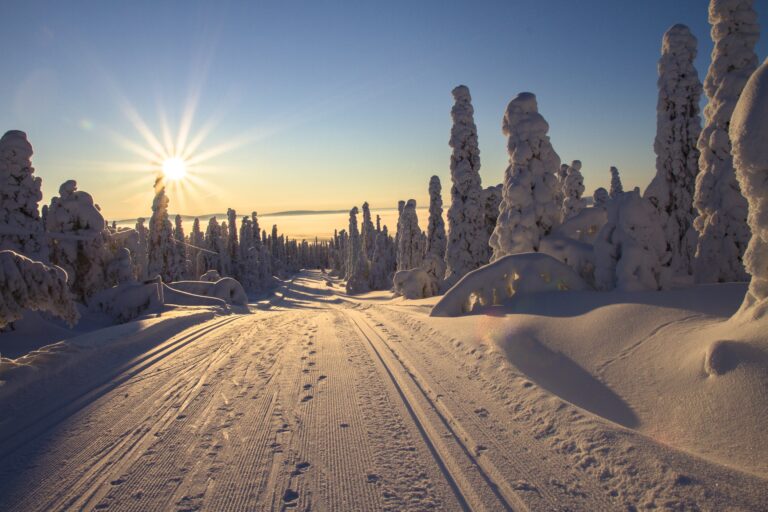 Read more about the article Top 5 Winter Wonderland Destinations